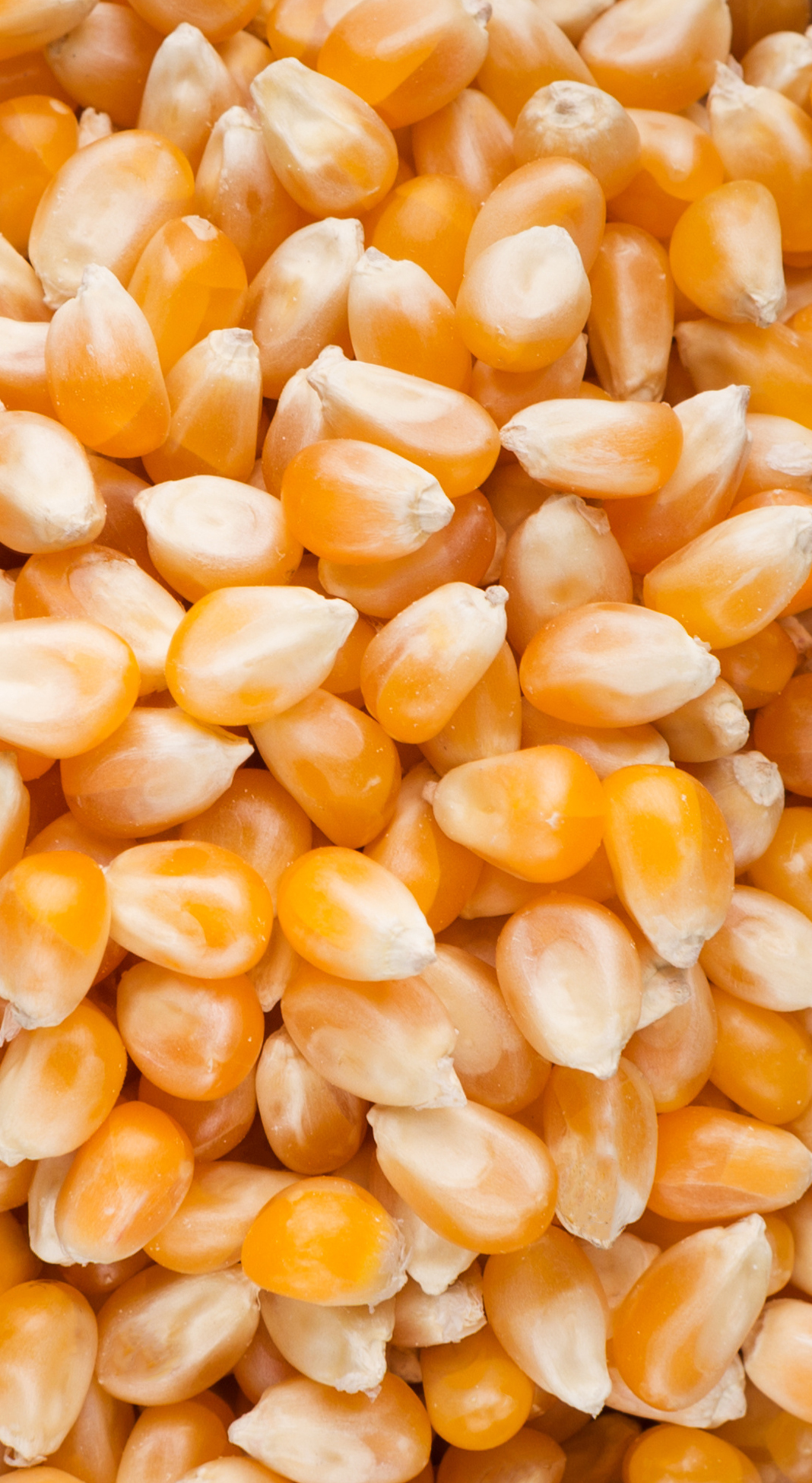 gentle roll screening solutions